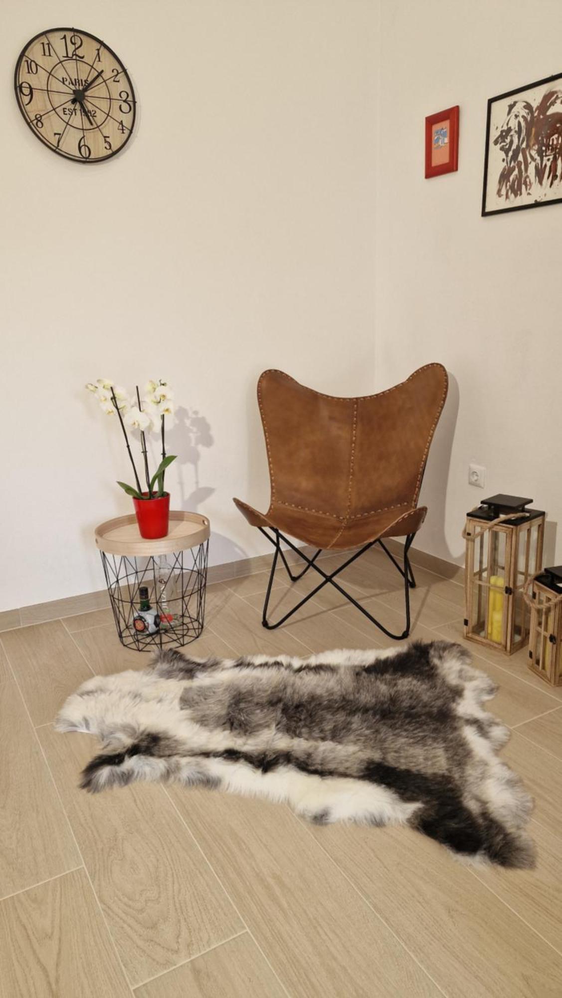 Apartmani Volga Petrčane Extérieur photo