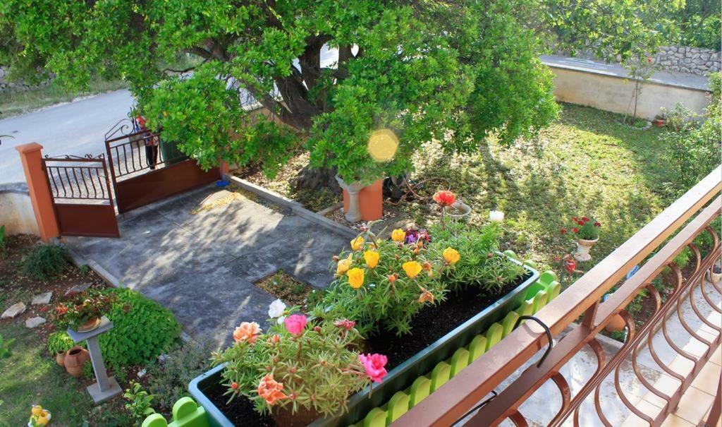 Apartmani Volga Petrčane Extérieur photo