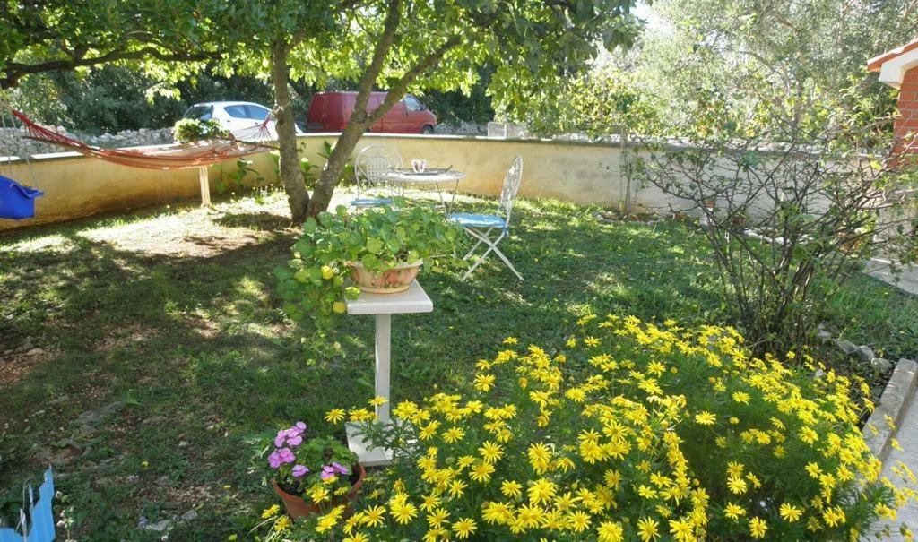 Apartmani Volga Petrčane Extérieur photo