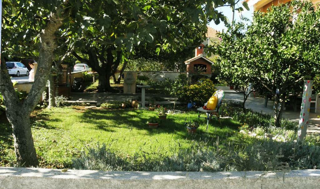 Apartmani Volga Petrčane Extérieur photo